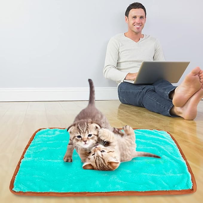 Cat Mat for Small Medium Large Cats,Cute Cat Catnip Crinkle Toys, Soft Plush Catnip Mat for Kitten Sleeping Snuffing Rolling Playing,Mashine Washable Cat Play Mat Pet Cushion Pad Mat Cat Gifts