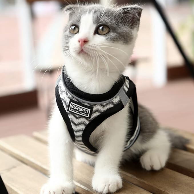 Soft Mesh Dog Harness and Leash Set, Step-in Reflective Breathable Comfort Padded Quick Dry Pet Puppy Vest Harness for Extra-Small/Small Medium Dogs and Cats (White, XXS)