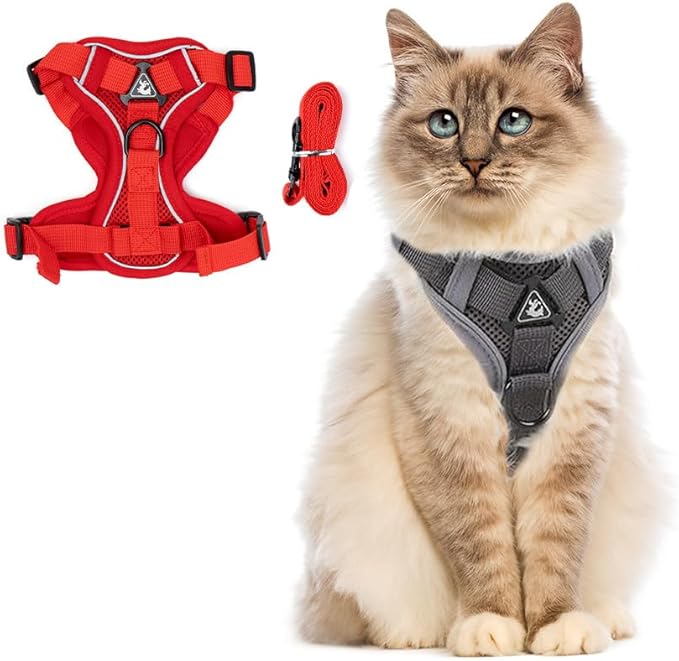 PetnBeyond Kitten Harness and Leash Set - Secure, Comfortable Control with Breathable Mesh Jacket - Adjustable Vest for Safe Walks with Reflective Strips - Kitty Escape Proof Kit (Medium, Red)