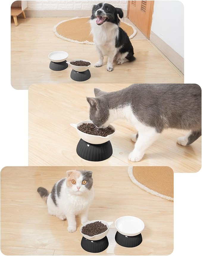 2 Ceramic Raised Cat Food Bowls, Elevated Cat Food and Water Bowl Set, Pet Bowl for Indoor Cats and Small Dogs, Anti-Vomiting Cat Dog Feeder with Plastic Base, Dishwasher Safe, Black…