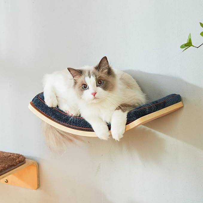 Cat Shelf with Comfortable Cat Cushion - Curved Cat Shelves and Perches for Wall (Medium Size) - Wall Mounted Cat Furniture for Sleeping, Playing, Climbing, and Lounging