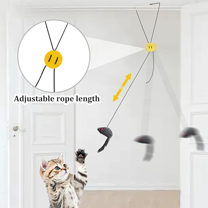 Andiker 5Pcs Interactive Cat Toys for Indoor Cats, Triangular Hook Door Frame Cat Toy with The Adjustable Elastic Rope Cat Mouse Toy and 4pcs Cats Springs Self-Playing Cat Catching Toys (Hang)