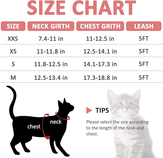 Cat Harness and Leash- Reflective Mesh Cat Vest for Walking Outdoor- Escape Proof Kitten Puppy Vest Harness -Comfort Fit, Lightweight, Easy Control (XXS, Blue),XX-Small