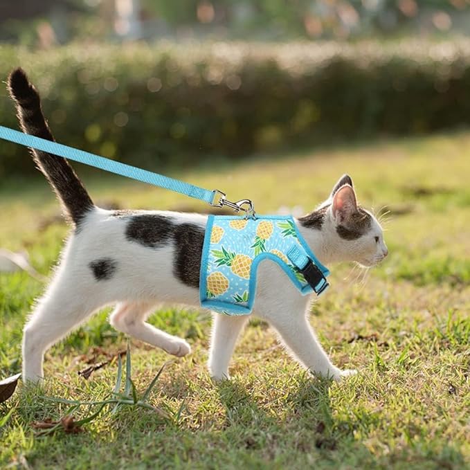 BINGPET Cat Harness - with Leash Included - Mesh Cat Dog Walking Harness Adjustable Harness for Kitties Puppy Harness Adjustable Cat Vest Harness Pineapple