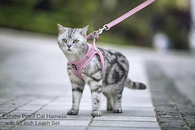 Cat Harness and Leash for Walking Escape Proof, Adjustable Soft Mesh Comfortable Vest Harnesses for Cats, Breathable Reflective Strips Easy to Put on Step-in Kitty Jacket (Pink, XXS)