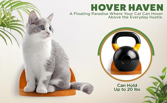 Modern Floating Wall Cat Shelves with Hiding Perch - 4 Piece Set for Climbing & Lounging - Stylish Wall-Mounted Cat Furniture