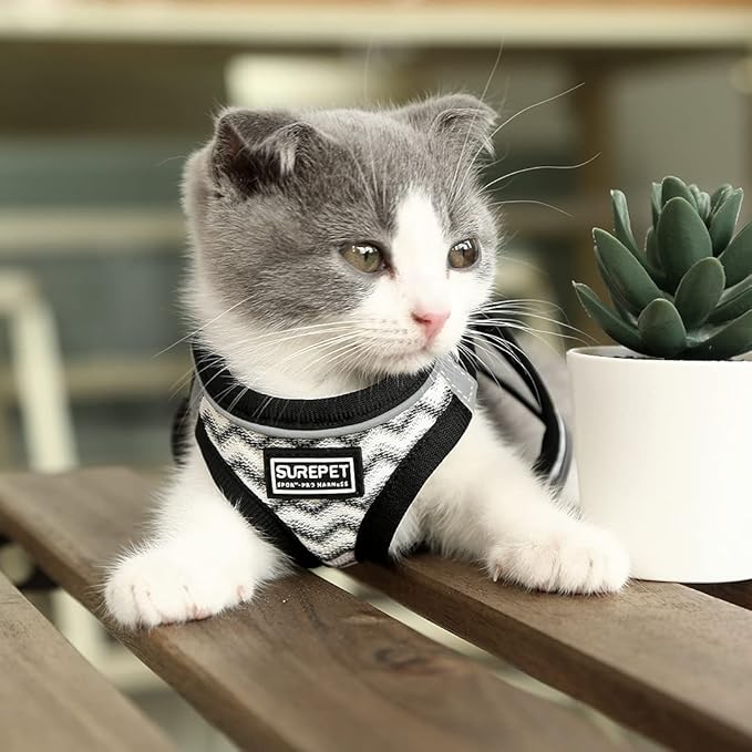 Soft Mesh Dog Harness and Leash Set, Step-in Reflective Breathable Comfort Padded Quick Dry Pet Puppy Vest Harness for Extra-Small/Small Medium Dogs and Cats (White, L)