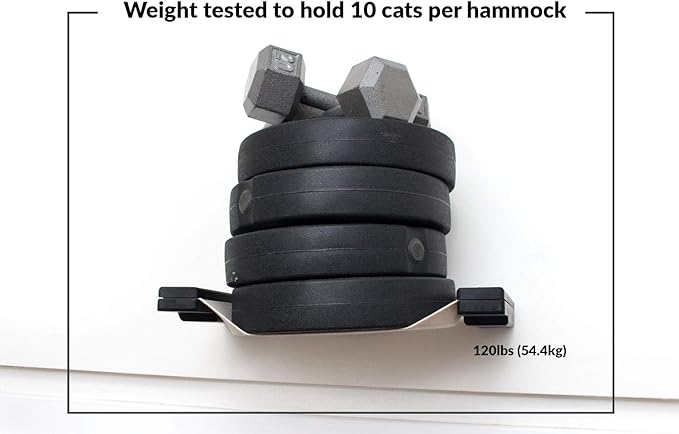 CatastrophiCreations Cat Lounge Hammock Wall Mounted Lounger for Climb and Play Furniture Cat Tree Shelve