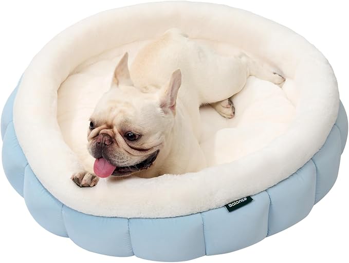 BALANCE Round Cat Beds for Indoor Cats - Donut Dog Bed for Medium Dogs, Washable Medium Pet Bed, Round Fluffy Plush Faux Fur Cat Bed with Anti-Slip Bottom