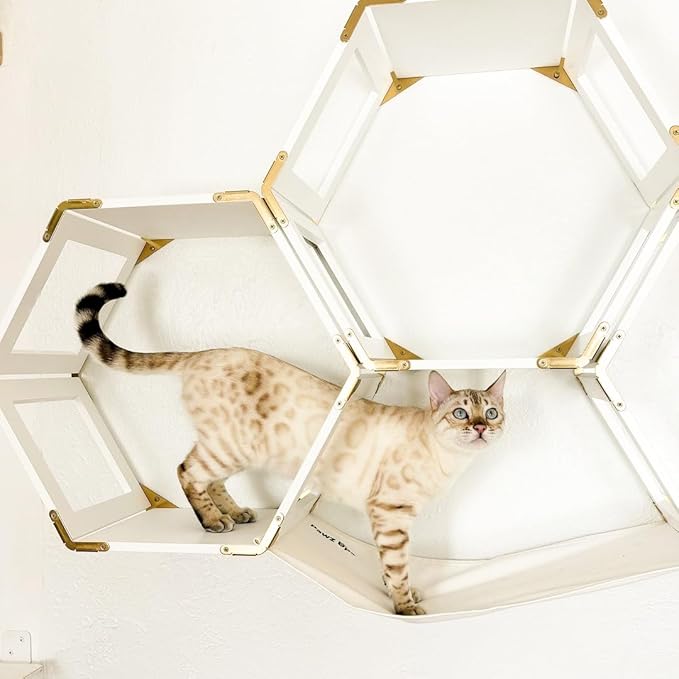 Cat Wall Furniture Set, Wall Mounted Cat Climbing Floating Shelf with Cat Entry Stairs and Hammock, White Perch Hexagons Shelves For Climber Cats, Cat Wall Tree With Window Hammock Bridge Bed