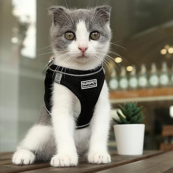 Soft Mesh Dog Harness and Leash Set, Step-in Reflective Breathable Comfort Padded Quick Dry Pet Puppy Vest Harness for Extra-Small/Small Medium Dogs and Cats (Black, L)