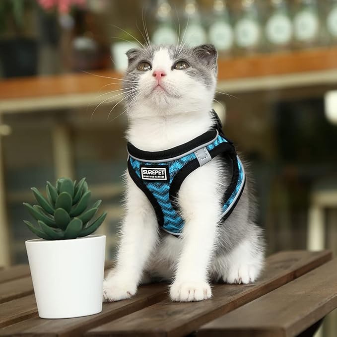 Soft Mesh Dog Harness and Leash Set, Step-in Reflective Breathable Comfort Padded Quick Dry Pet Puppy Vest Harness for Extra-Small/Small Medium Dogs and Cats (Blue, M)