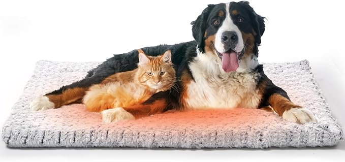 Self Warming Cat Bed 37 x 25.6 in - Cat Beds for Indoor Outdoor Cats and Dogs, Machine Washable Cat Heating Pad, 2 in Thickened Pet Heating Pad for Cats & Dogs, Double Side Premium Soft