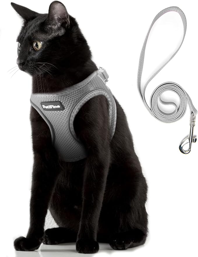 PetiFine Extra Small Step in Dog Harness and Leash Set, Cat Harness and Leash Escape Proof, All Weather Mesh Reflective, Step-in Air Vest Harnesses for Puppy(XXS, Grey)