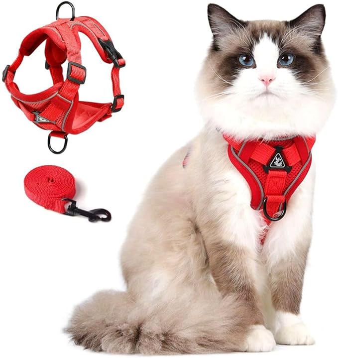Cat Harness and Leash Set, Upgraded Escape Proof Adjustable Vest with Lead for Kitten Puppy Outdoor Walking, Soft Breathable Mesh Jacket with Reflective Strips for Dark Night (M, Fresh Red)