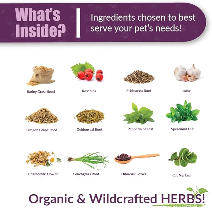 AMBER NATURALZ Kitty-DT Digestive Rescue Herbal Supplement for Cats | Feline Herbal Supplement for Occasional Upset and Digestive Support | 1 Fluid Ounce Glass Bottle | Manufactured in The USA