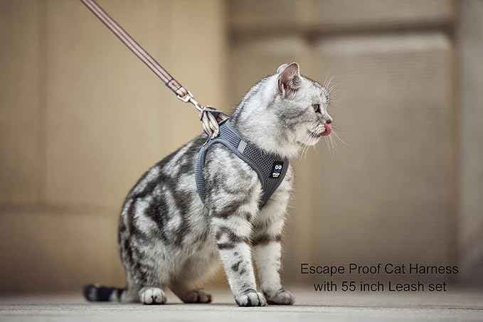 Cat Harness and Leash for Walking Escape Proof, Adjustable Soft Mesh Comfortable Vest Harnesses for Cats, Breathable Reflective Strips Easy to Put on Step-in Kitty Jacket (Grey, M)