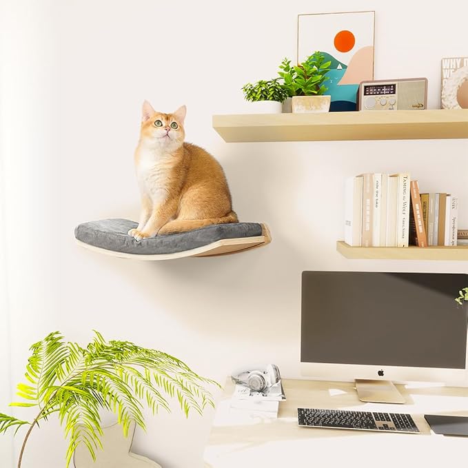Cat Wall Shelves,Wall Mounted Cat Wall Furniture,Curved Cat Shelves and Perches for Wall,Floating Cat Wall Bed Cat Shelf with Comfortable Cat Cushion
