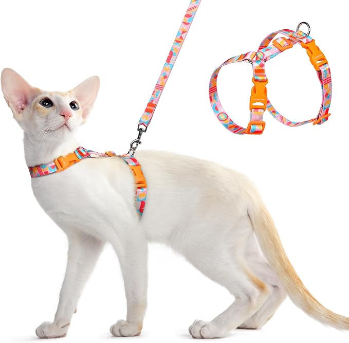 Dooradar Cat Harness and Leash, Escape Proof Adjustable Kitten Vest, Lightweight Soft Pet Straps, Easy Wearing for Small Medium Kitty Safe Walking Travel Control, Rainbow, S