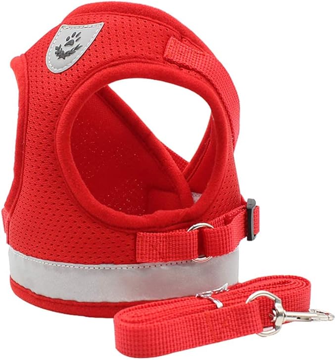 Cat and Small Dog Vest Harness and Leash Set, Mesh Harness with Reflective Strap, Step-in Adjustable Harness for Small Cats