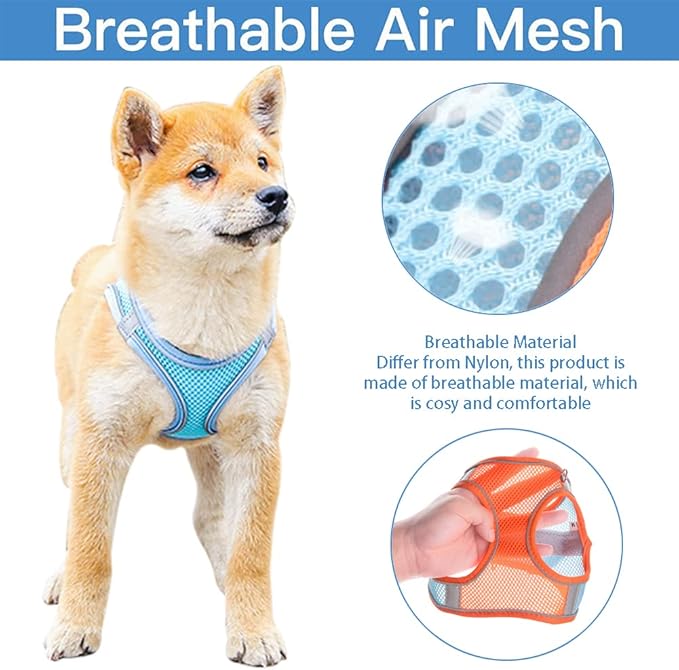 Cat and Small-Medium Dog Harness, No-Pull Pet Vest with Leash for Walking, Puppy Harness Set, Step-in Dog Harness for Small Breeds, Adjustable Mesh Harness