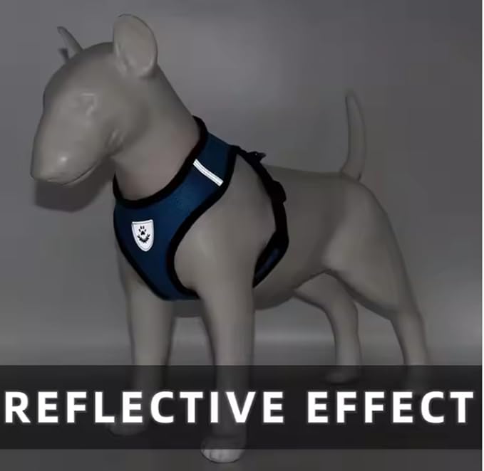 Step-in Dog, Cat, and Puppy Harness and Leash | All Weather Mesh | Reflective Harness & Leash for Small Dogs and Cats (Blue, Small)