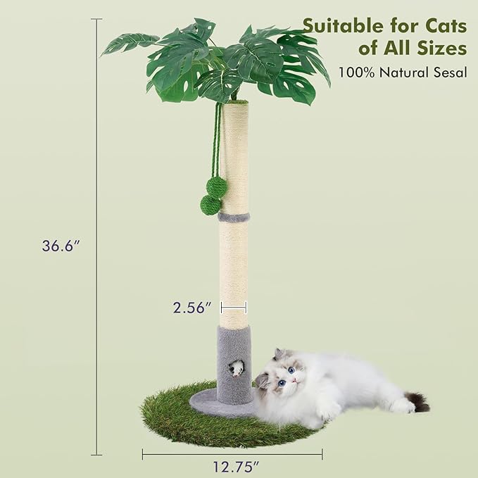 Cat Scratching Posts for All Cats with Hanging Ball and Sisal Rope Cat Toy, Simple Design - for Larger Cats - 35.43" Tall,Wooden Palm Tree Premium Basics Cat Toys Kitten（Grey