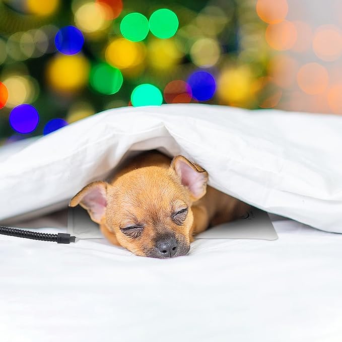 Pet Bed Warmer, Compact Heating Pad Insert for Cat Dog Beds, Turn Any Pet Bed Into a Heated Pet Bed, Waterproof Heated Bed Mat with Chew-Resistant Cord, Safe and Warm (M:9'' x 9'')