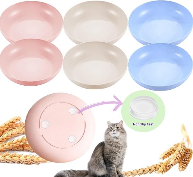6-Pack Cat Food Bowl with Non Slip Feet, Whisker Fatigue Cat Dishes for Food, Shallow Kitten Bowls Set for Indoor Cats, 5.5" Flat Cat Plates for Wet Food