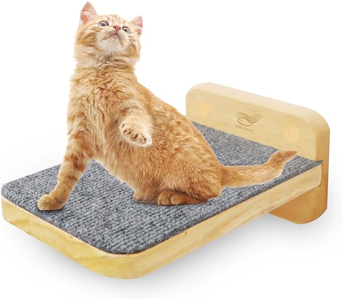 Molly & Nemo Cat Climbing Shelf Wall Mounted,Cat Climbing Step,Wooden Cat Stairway with Felt for Cat Climbing and Playing(Small )