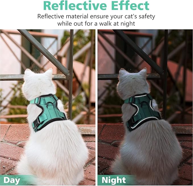 Dooradar Cat Harness and Leash Set, Escape Proof Safe Adjustable Kitten Vest Harnesses for Walking, Easy Control Soft Breathable Mesh Jacket with Reflective Strips for Cats, Green, M