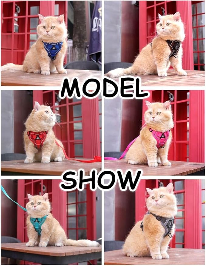 Cat Harness and Leash Set: Upgraded Escape Proof Vest with Lead for Large Cat Small Dog Puppy Walking, Soft Jacket Reflective Strips, Black (L)