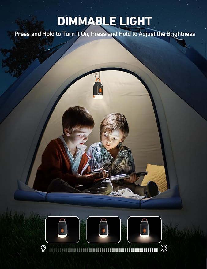 AstroAI Mini Air Pump for Inflatables with 3000mAh Battery Portable Air Mattress Pump with Camping Lantern Electric Air Pump with 5 Nozzles Inflate & Deflate Air Mattress, Vacuum Storage Bags Gray