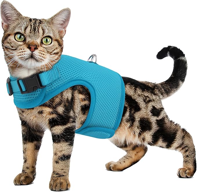 MoNiBloom Soft Cat Harness for Walking Escape Proof and Travel, Kitten Adjustable Breathable Vest Harness - Sky Blue, S