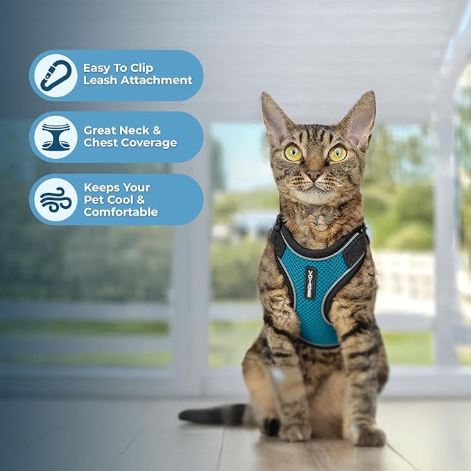 Voyager Escape Proof Cat Harness and Leash Set with Reflective Stitching, Neoprene Handle 5ft - Supports Small, Medium and Large Cats, Kittens for Walking by Best Pet Supplies - BT-Turquoise, S