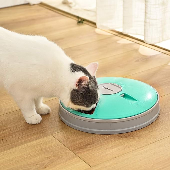 Amazon Basics Automatic Pet Feeder, Electronic Timed Dog and Cat Food Dispenser, 6 Portions, Plastic, Teal, 12" X 12" X 2.3"