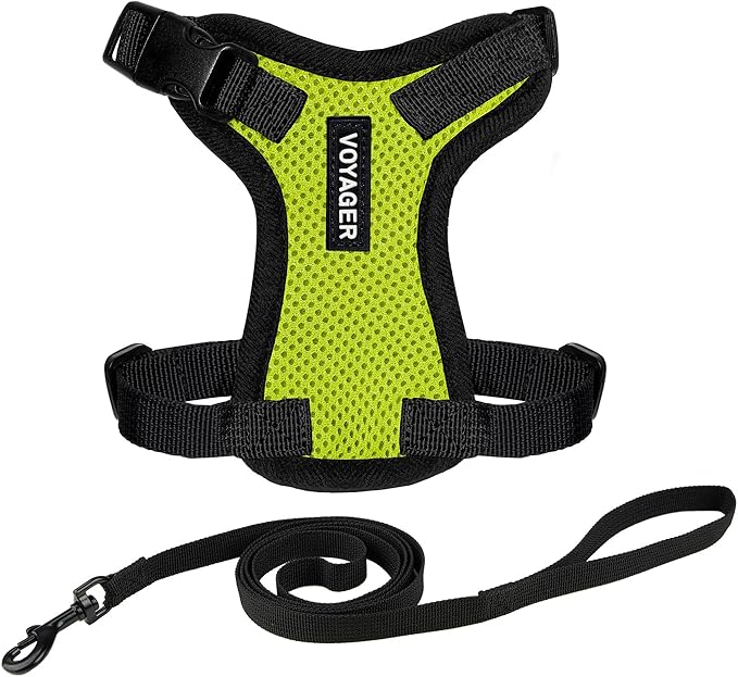 Voyager Step-in Lock Adjustable Cat Harness w. Cat Leash Combo Set with Neoprene Handle 5ft - Supports Small, Medium and Large Breed Cats by Best Pet Supplies - Lime Green/Black Trim, S