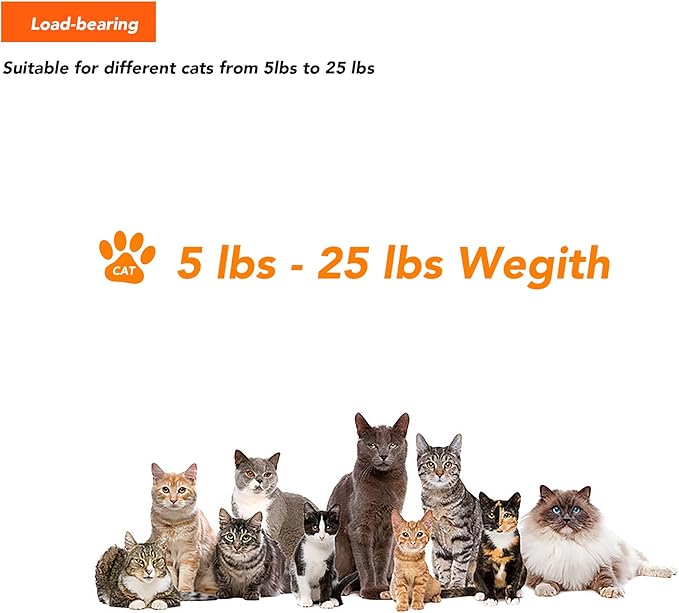 Story of Naughtiness, Cat Wall Set, Cat Furniture Set, Cat Climbing Step, Cat Hammock, Cat Floating Shelf, Wall Mounted, Cat Wall Furniture, 3 Pack Cat Wall Shelves Set