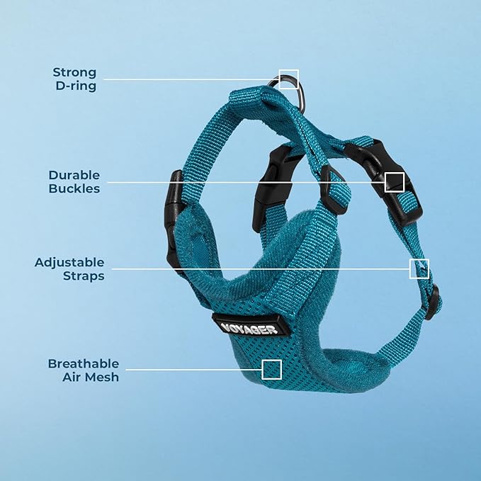 Voyager Step-in Lock Pet Harness - All Weather Mesh, Adjustable Step in Harness for Cats and Dogs by Best Pet Supplies - Turquoise, XS