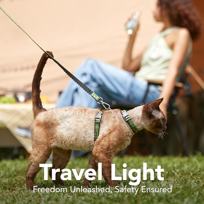 Cat Harness and Leash Set - Escape Proof Vest Harness for Cat, Comfortable Soft Lightweight, Easy Adjustable Cat Collar Harness for Small Medium Cats (Growling Crocodile)