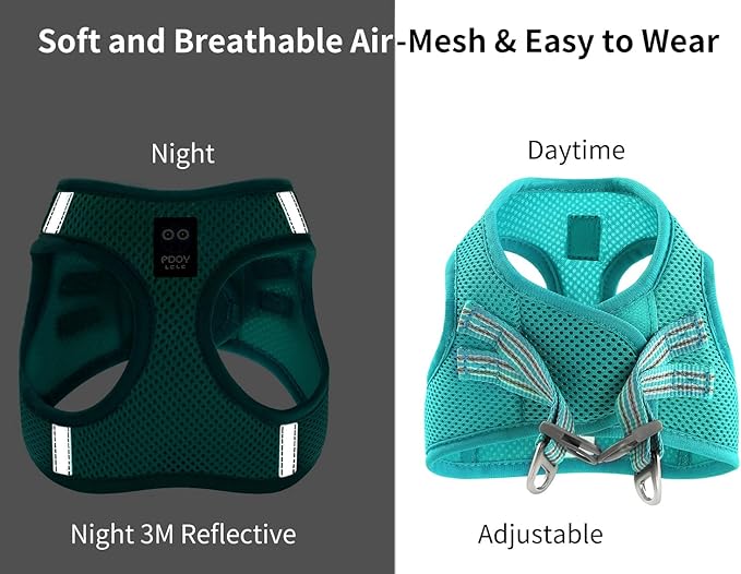 Cat Harness and Leash for Walking Escape Proof, Adjustable Soft Mesh Comfortable Vest Harnesses for Cats, Breathable Reflective Strips Easy to Put on Step-in Kitty Jacket (Turquoise, XS)