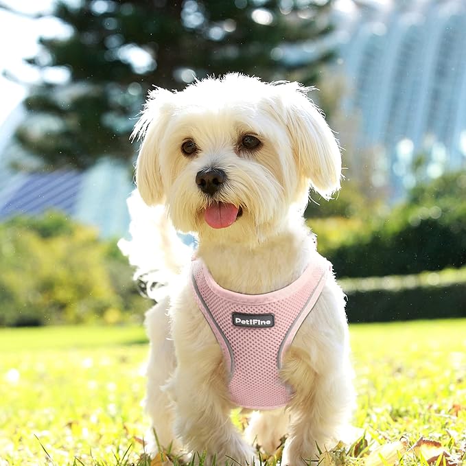 PetiFine Step in Small Dog Harness and Leash Set, Breathable All Weather Air Mesh Reflective Escape Proof, Step-in Vest Harnesses for Puppy(S, Pink)
