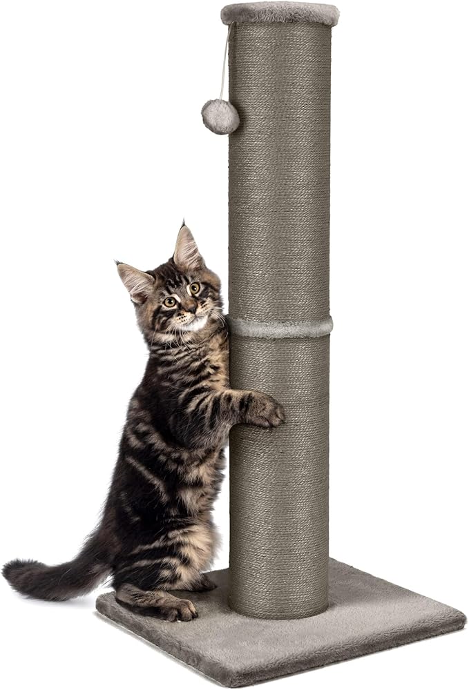PAWSCRAT Cat Scratching Post 32 Inch High, 5.5 Inch Large Diameter Natural Sisal Cat Scratch Post, Scratch-Resistant and Durable Tall Cat Scratcher for Indoor Cats, Protect Your Furniture, Gery