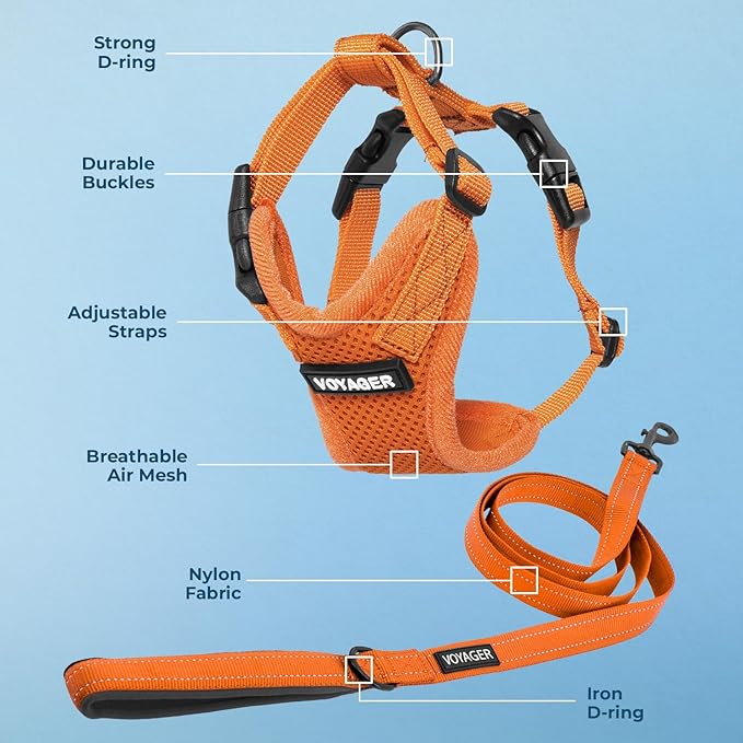 Voyager Step-in Lock Dog Harness w Reflective Dog Leash Combo Set with Neoprene Handle 5ft - Supports Small, Medium and Large Breed Puppies/Cats by Best Pet Supplies - Orange, XS