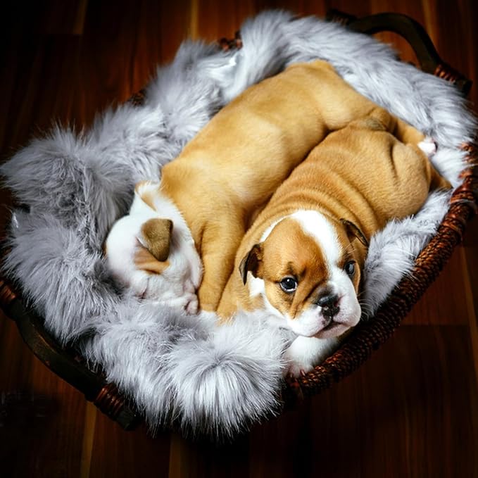 Fluffy Pet Dog Cat Bed Mat Rug, Washable Super Soft Plush Faux Fur Warm Area Mat Pad for Indoor Pet Cat Dog Small Sleep Cushion