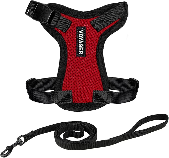 Voyager Step-in Lock Adjustable Cat Harness w. Cat Leash Combo Set with Neoprene Handle 5ft - Supports Small, Medium and Large Breed Cats by Best Pet Supplies - Red/Black Trim, XS