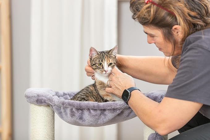 TRIXIE Baza 20-in Cat Scratching Posts, Durable Jute Cat Scratcher with Plush Hammock and Dangling Cat Toy, Gray