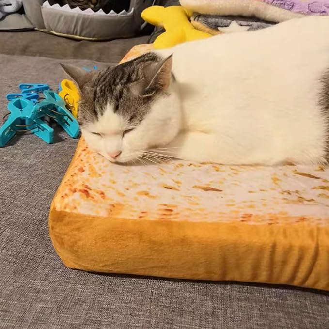 Gefryco Cat Beds for Indoor Cats, Pet Mats Cushion for Cat and Small Dogs Creative Toast Bread Slice Mattress (Sponge Core)