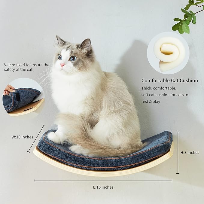 Cat Shelf with Comfortable Cat Cushion - Curved Cat Shelves and Perches for Wall (Medium Size) - Wall Mounted Cat Furniture for Sleeping, Playing, Climbing, and Lounging