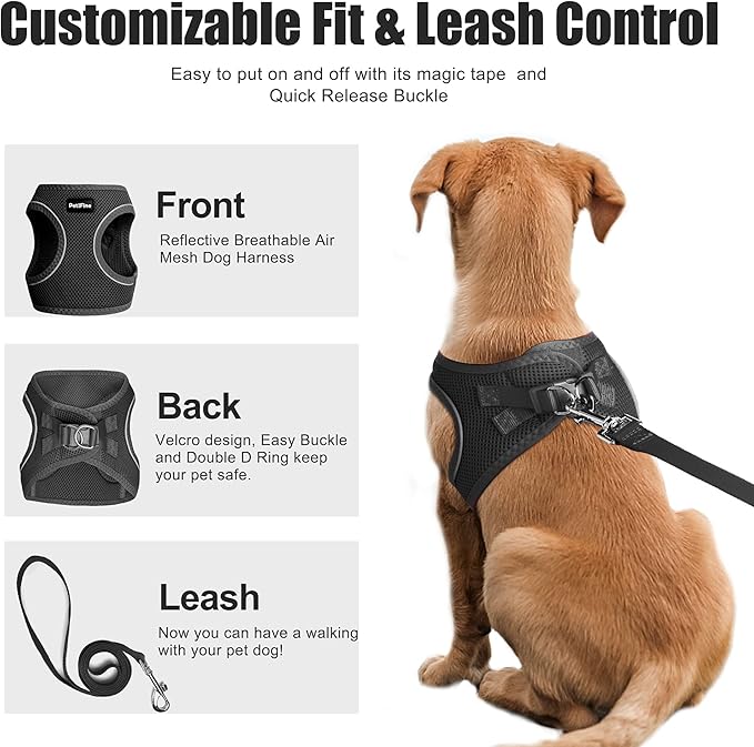 PetiFine Step in Small Dog Harness and Leash Set, Breathable All Weather Air Mesh Reflective Escape Proof, Step-in Vest Harnesses for Puppy(XS, Black)